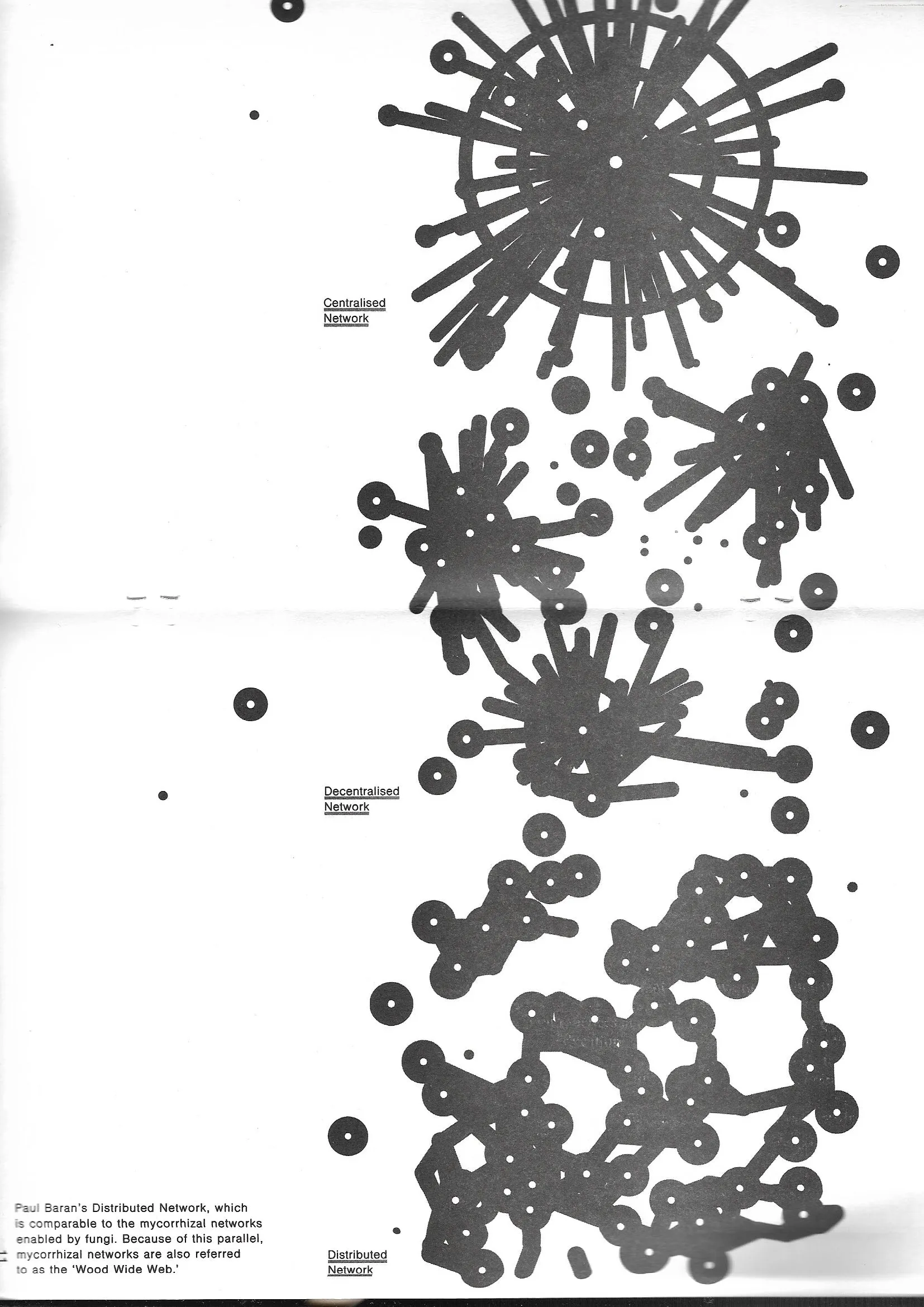 A Fruiting Body of Collective Labour: Working Towards a De-Hierarchised System for Fashion Education