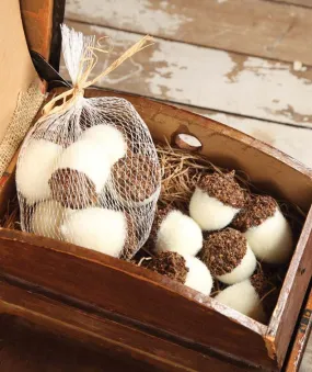 Bag of Winter White Acorns