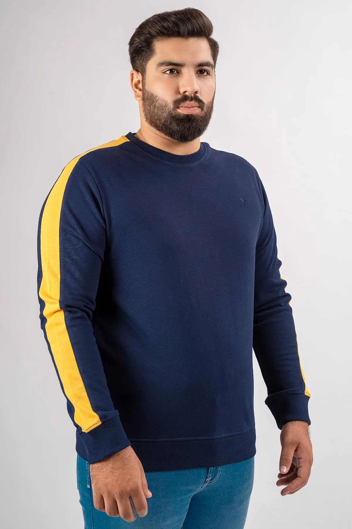 Blue Cut & Sew Sweatshirt (Plus Size) - S24 - MSW087P