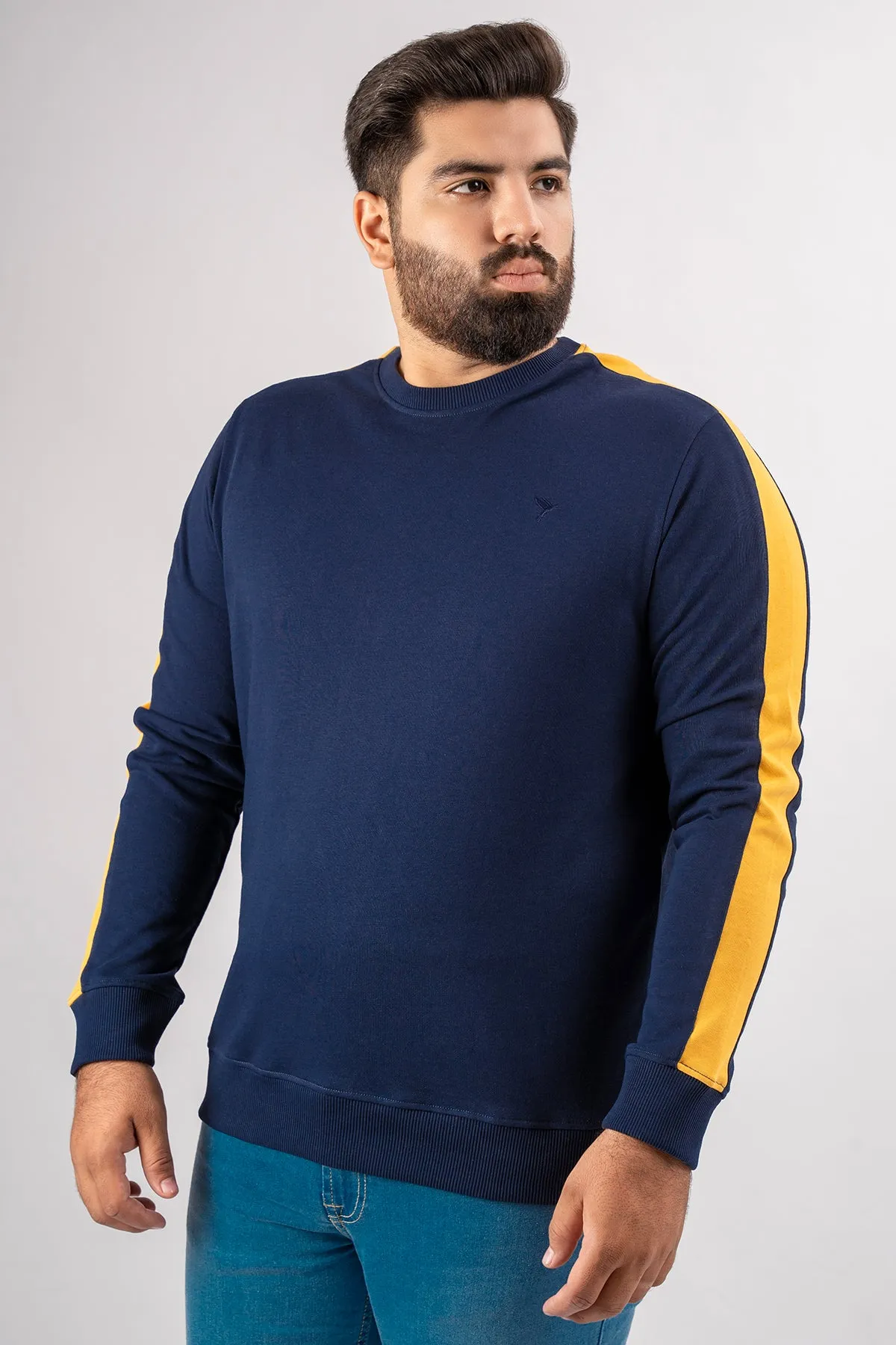 Blue Cut & Sew Sweatshirt (Plus Size) - S24 - MSW087P