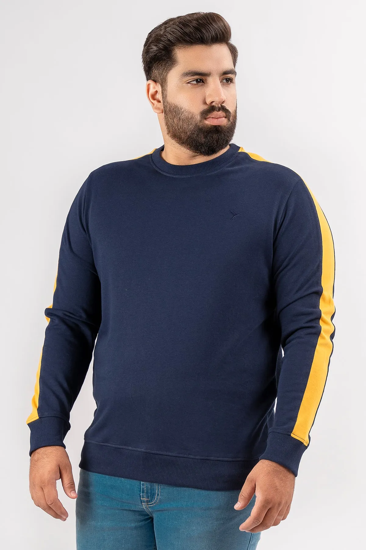 Blue Cut & Sew Sweatshirt (Plus Size) - S24 - MSW087P