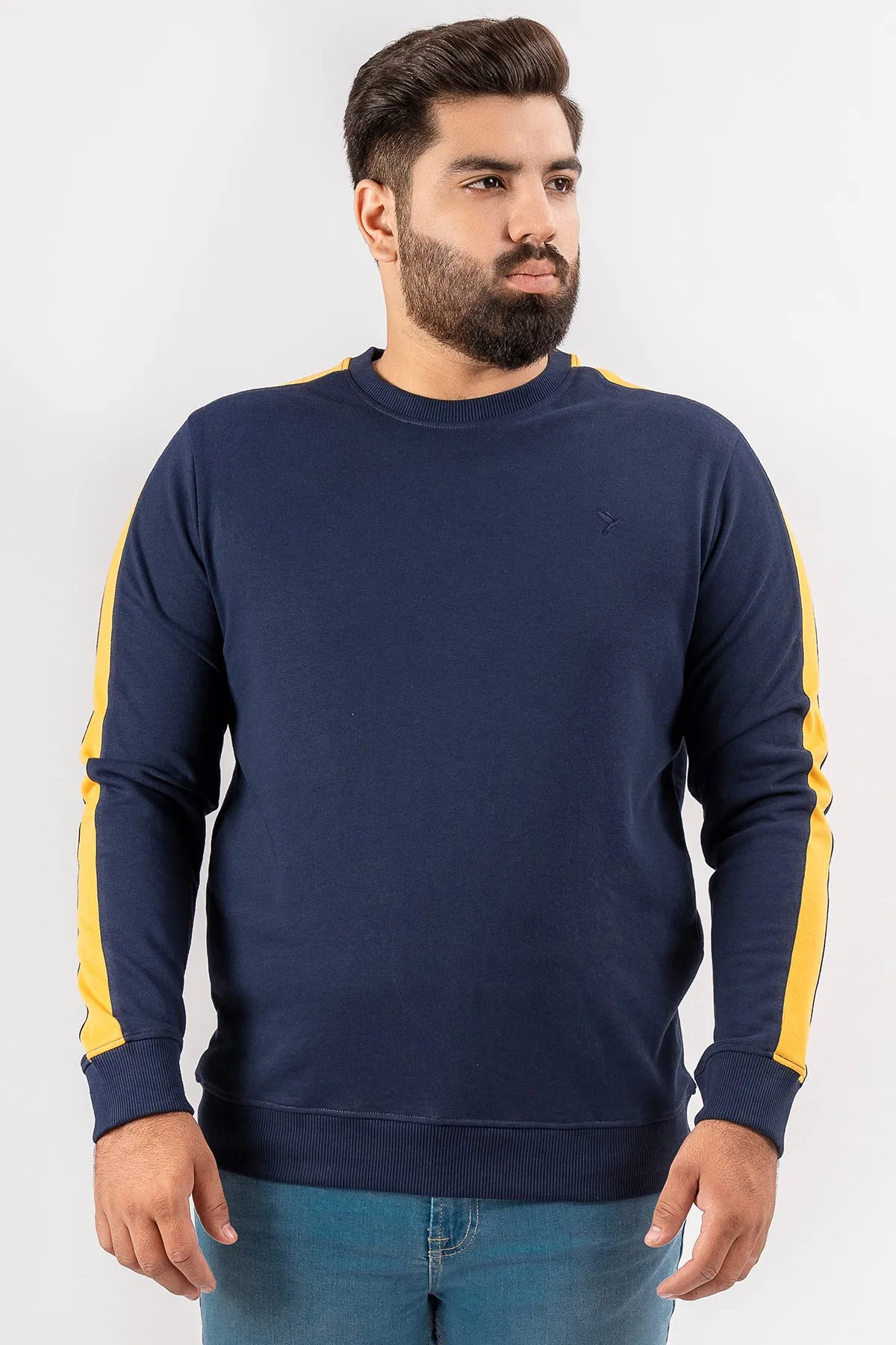 Blue Cut & Sew Sweatshirt (Plus Size) - S24 - MSW087P