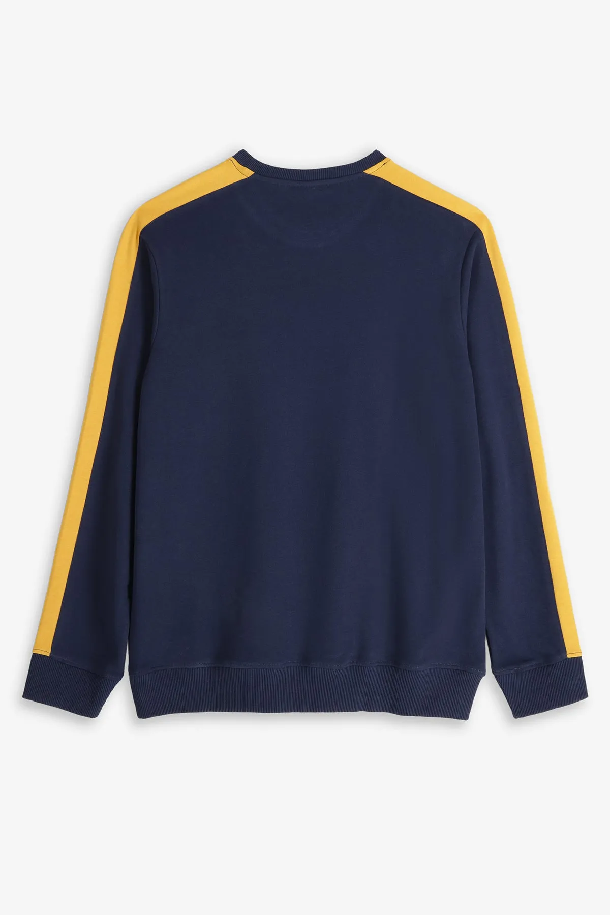 Blue Cut & Sew Sweatshirt - S24 - MSW087R