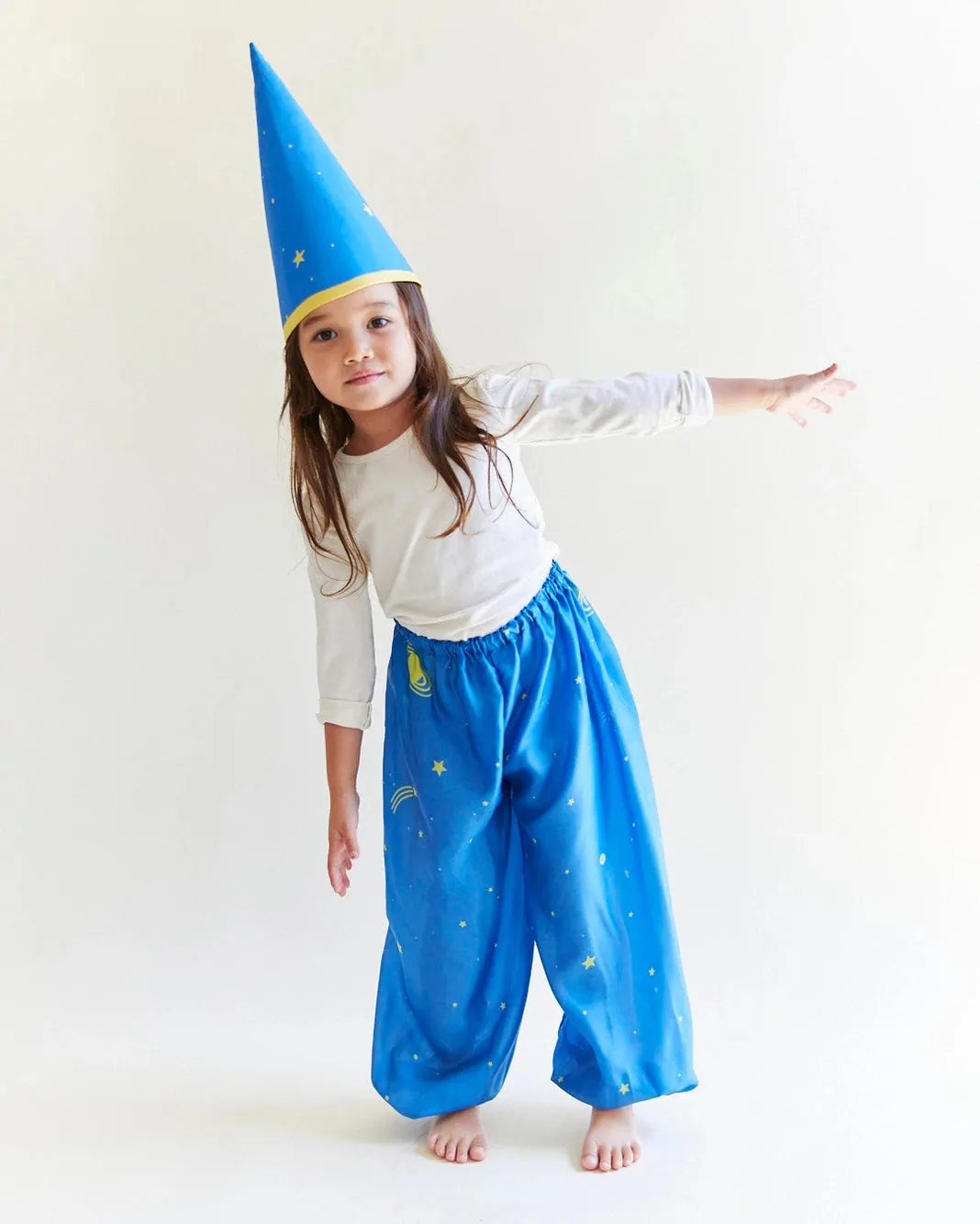 Silk Dress-up Pants